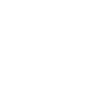 6 (1)